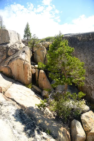 DSC_0197 (Large).JPG